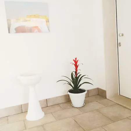 La Maison 5*