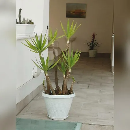La Maison Nocleg ze śniadaniem